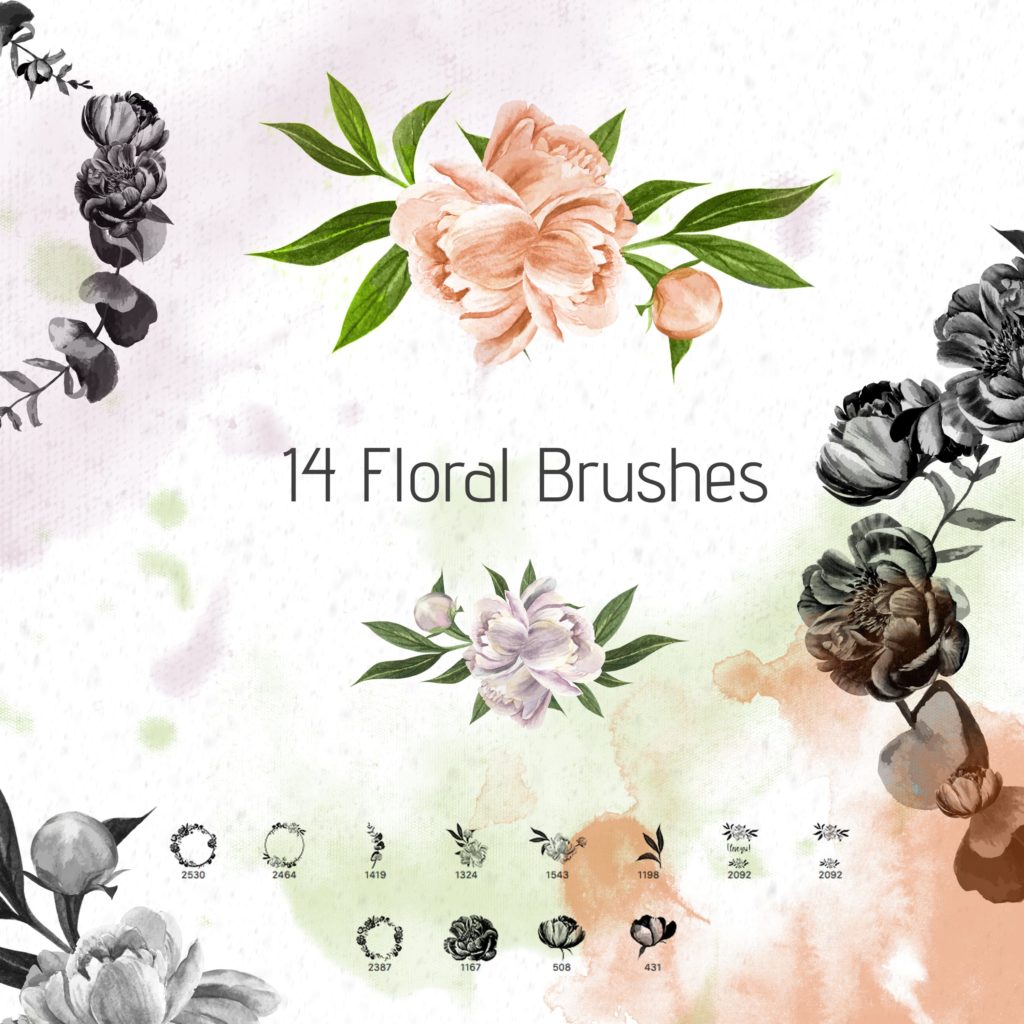 adobe photoshop floral brushes download