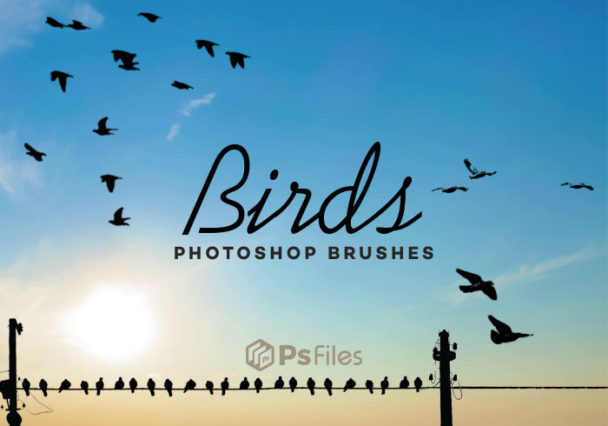 birds brushes photoshop cs5 free download