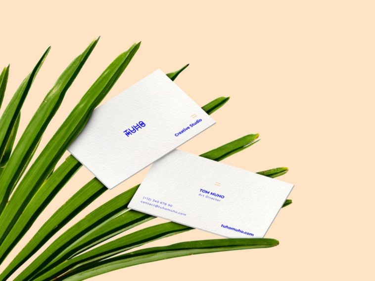 White business cards on palm leaves