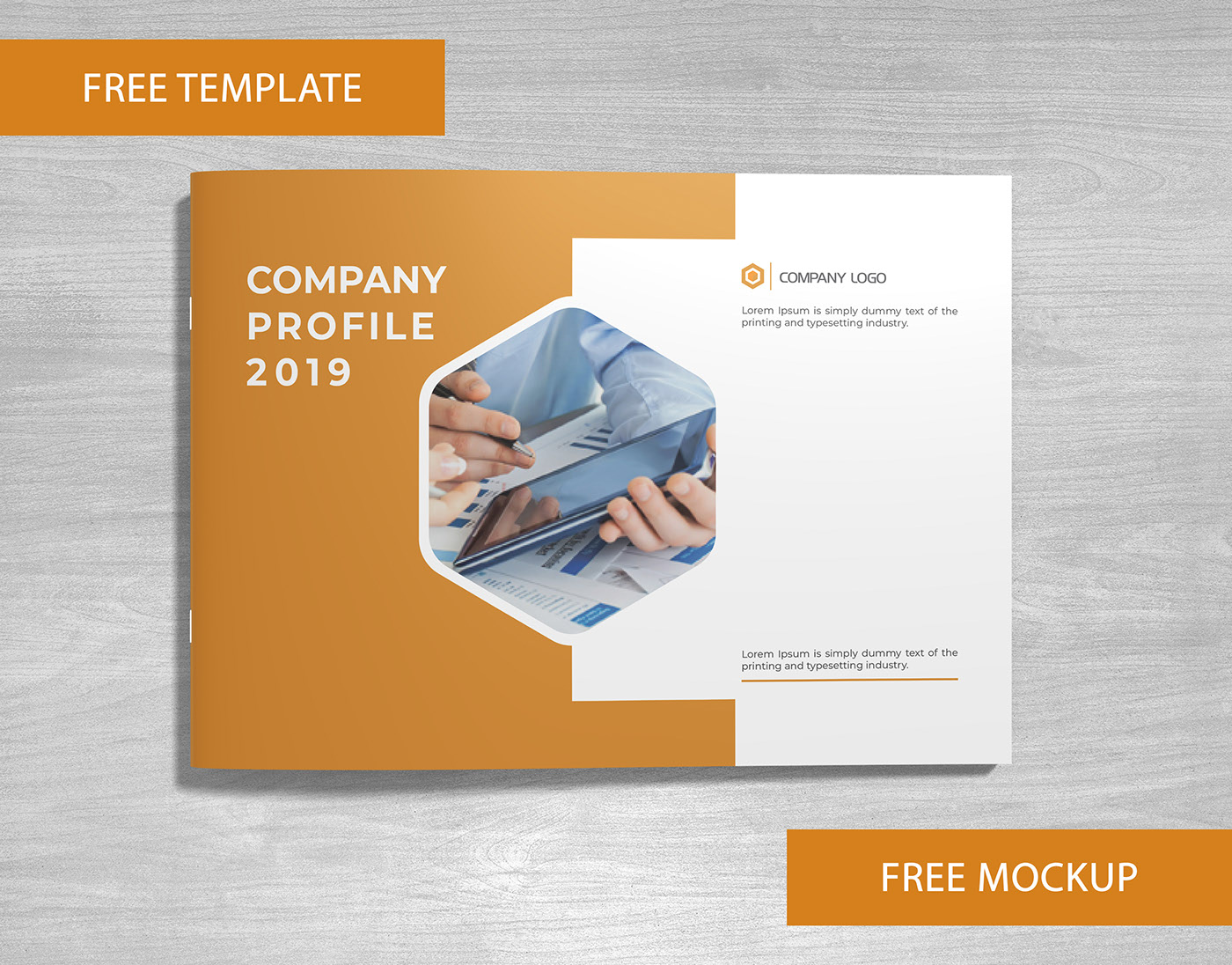 Free Landscape Brochure Ai Templates + PSD Mockup - PsFiles Intended For Ai Brochure Templates Free Download