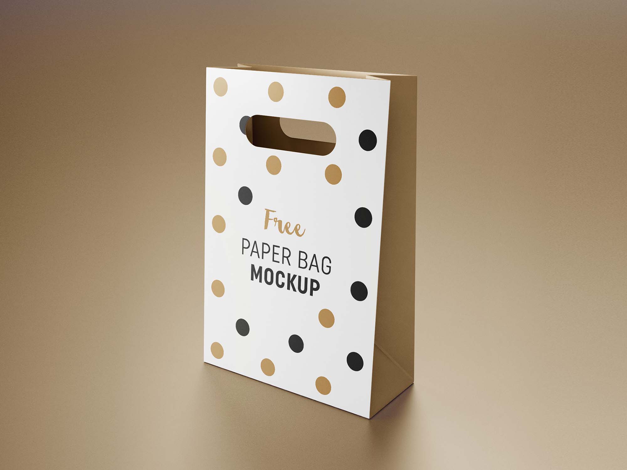 Paper Carry Bage Shopping Bag