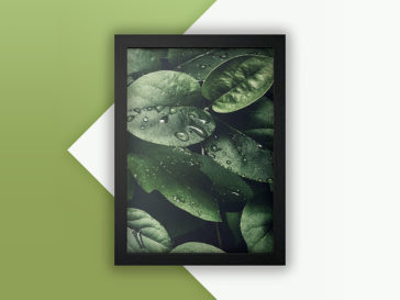 Photo Fram PSD Mockup