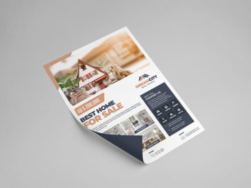 Homes for sale PSD file