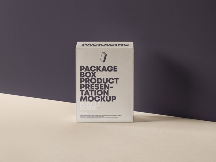 BOX Package MOCK PSD