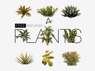 3D render Indoor Plants PSD File