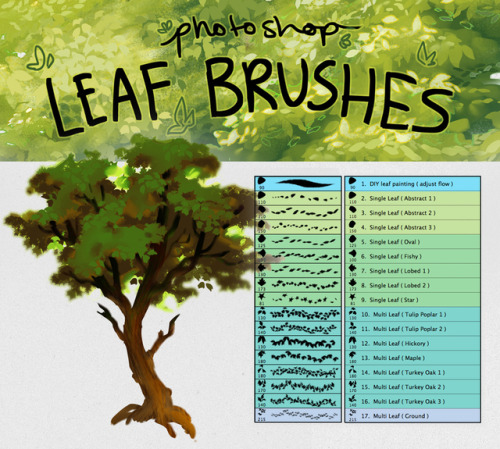 Digital Paint Tree leaf Brushes Photoshop