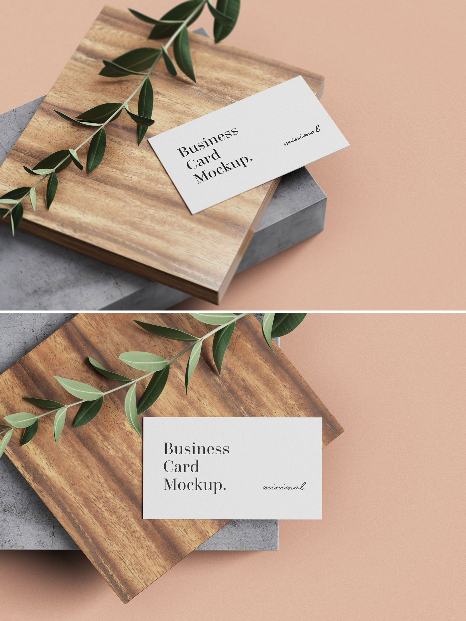 Free Minimal Business Card PSD Mockup with Plants