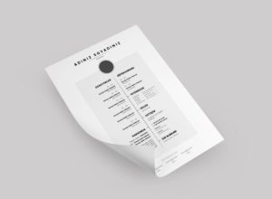 resume mockup psd