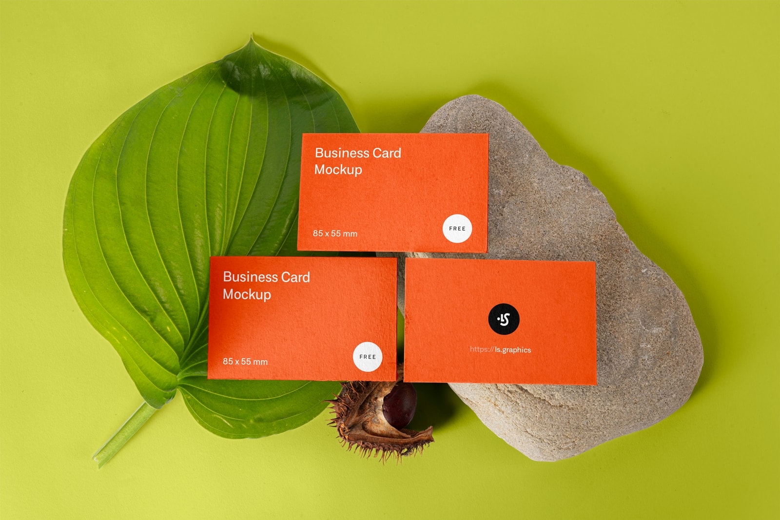 Top view Business card with plant and stone mockups