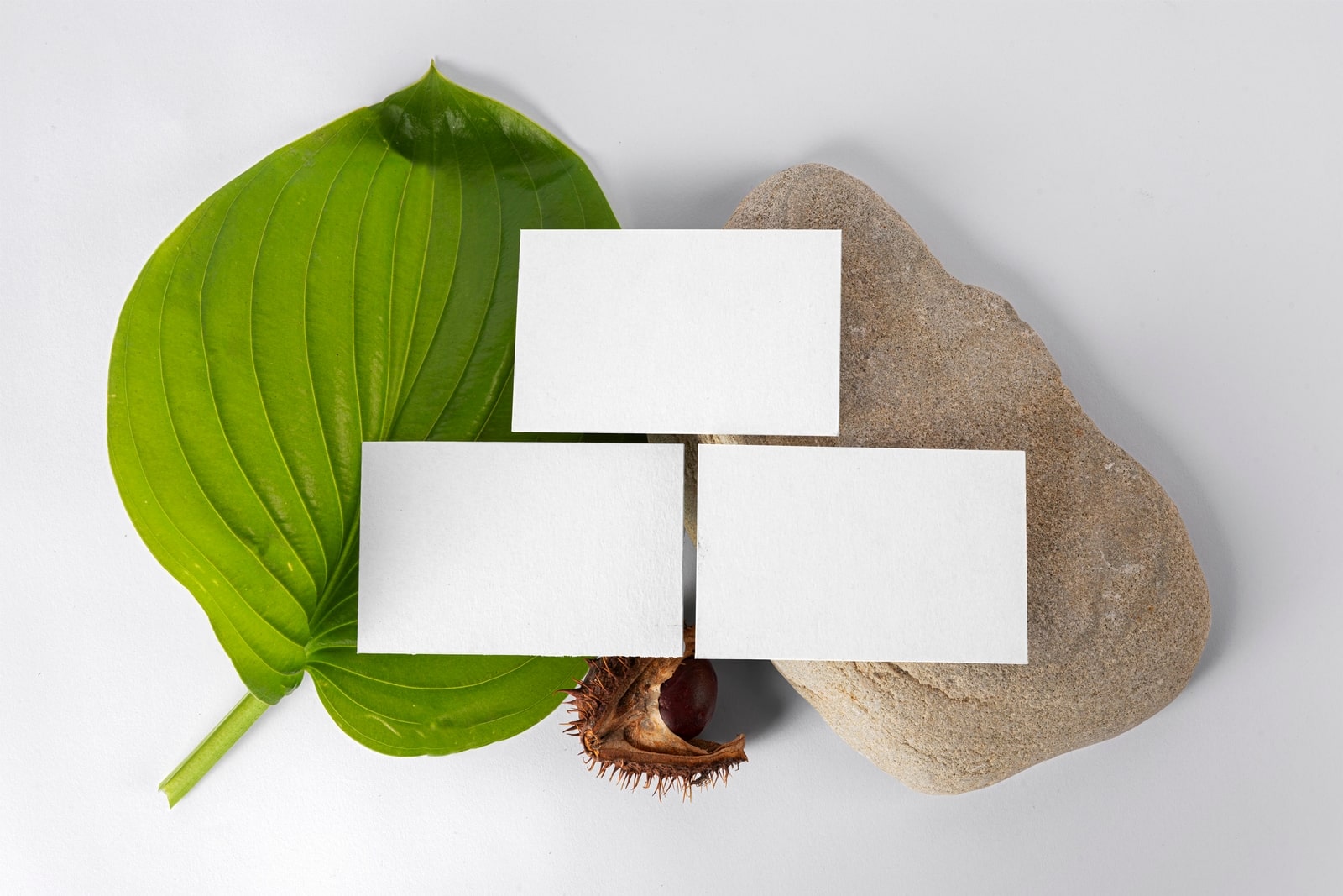 Realistic Top view Business cards with plant and rock mockups