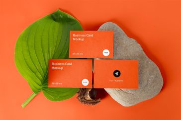 Free Business cards with plant and rock mockups