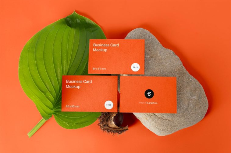 Free Business cards with plant and rock mockups