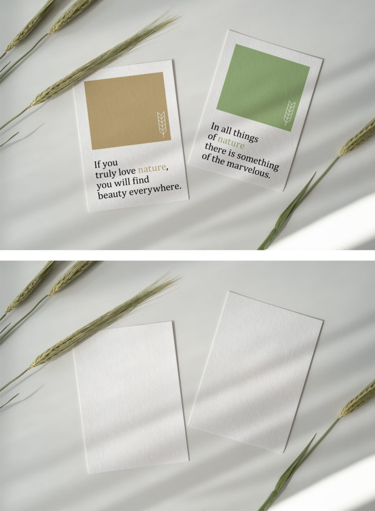 Square card with leaf Free Mockup PSD
