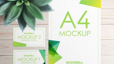 Branding Mockup PSD Free