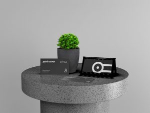 Business Cards Branding Scene Mockup with plant