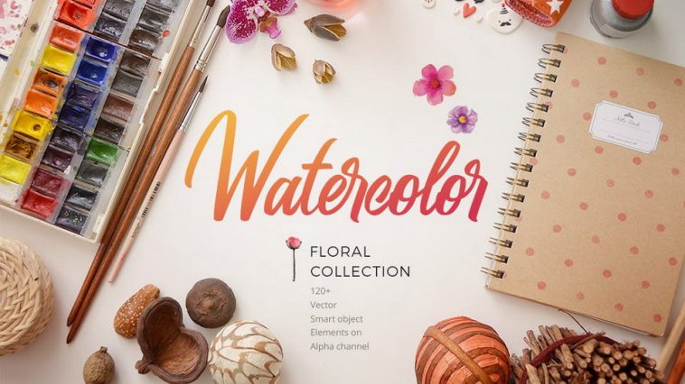 Watercolor Floral Collection