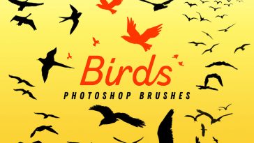 Free Photoshop Birds Brushes