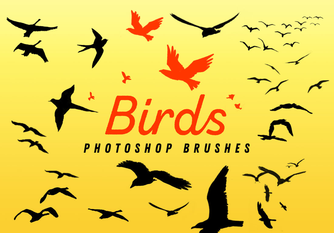 Free Photoshop Birds Brushes - PsFiles