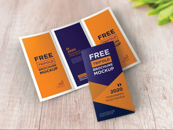 Free Free Trifold Brochure Mockup PSD Set - Free Photoshop Files