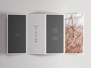 Open Four Fold Brochure Mockup PSD