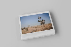 Free Landscape Instant Photo Mockup PSD