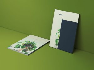 Two Magazine Covers Mockup PSD