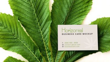 Horizontal Business Card Mockup on Plant Leaf