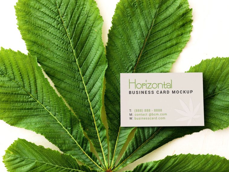 Horizontal Business Card Mockup on Plant Leaf