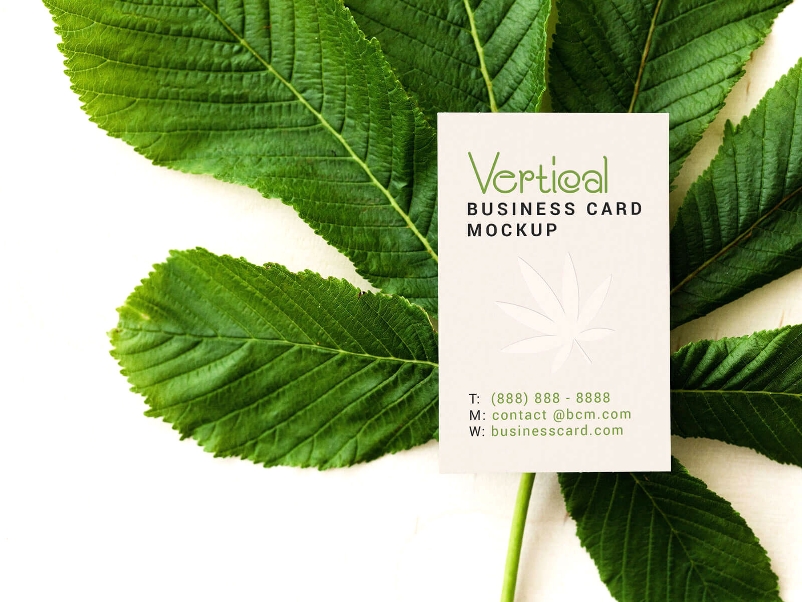 Vertical Business Card Mockup on Plant Leaf