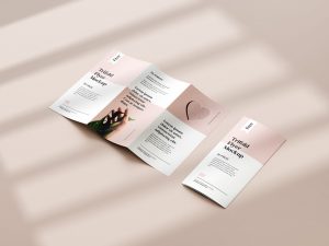 Free Tri-Fold DL Flyer Mockup PSD set