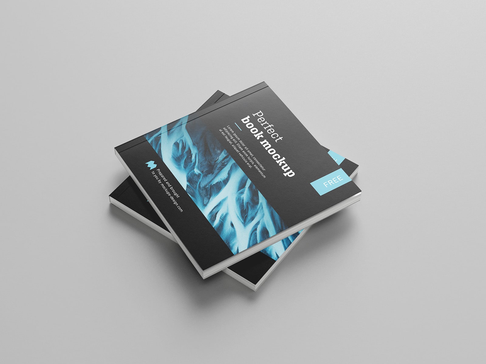 Free Paperback Square Book Mockup PSD Sets
