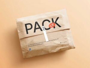 Free Kraft Paper Postal Package Mockup PSD