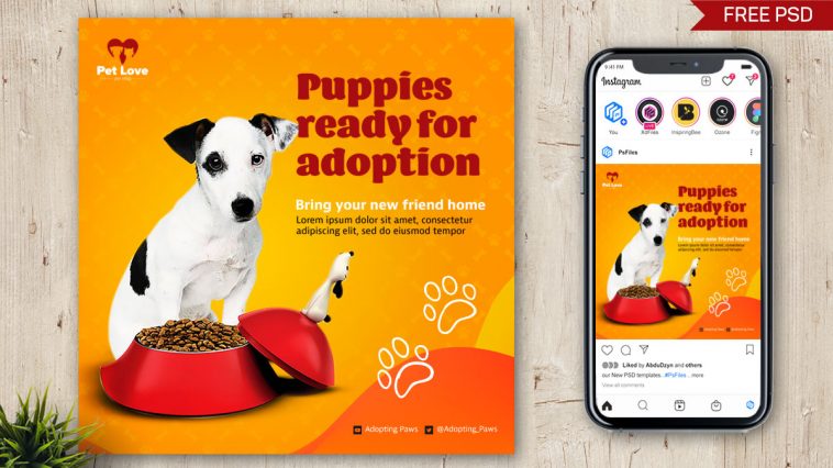 Free Pets Adoption Post Design PSD Template