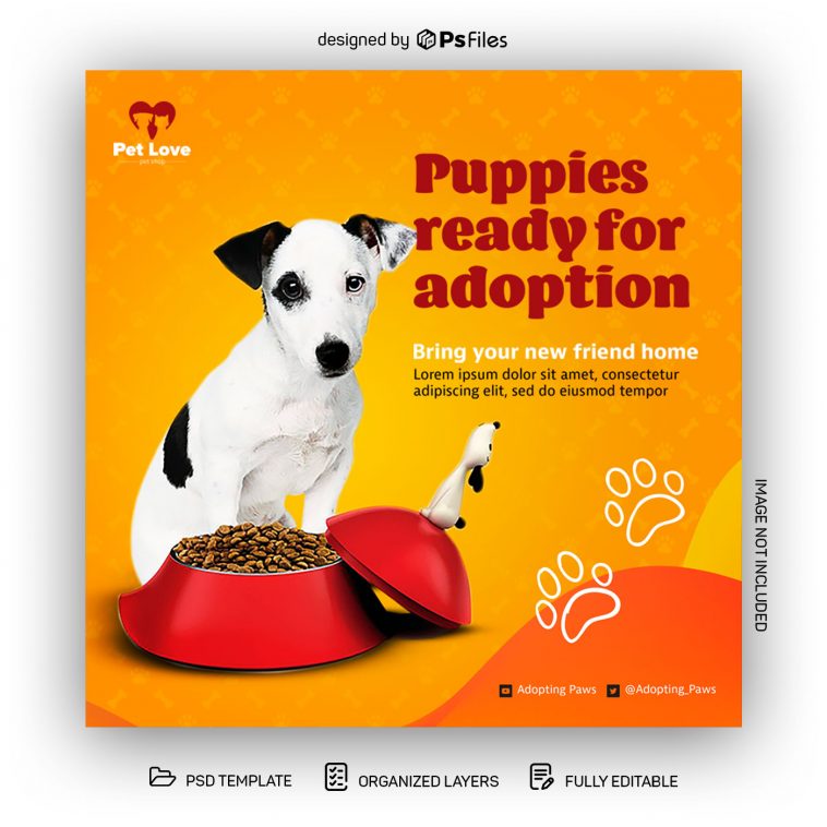 Free Pets Adoption Post Design PSD Template - PsFiles