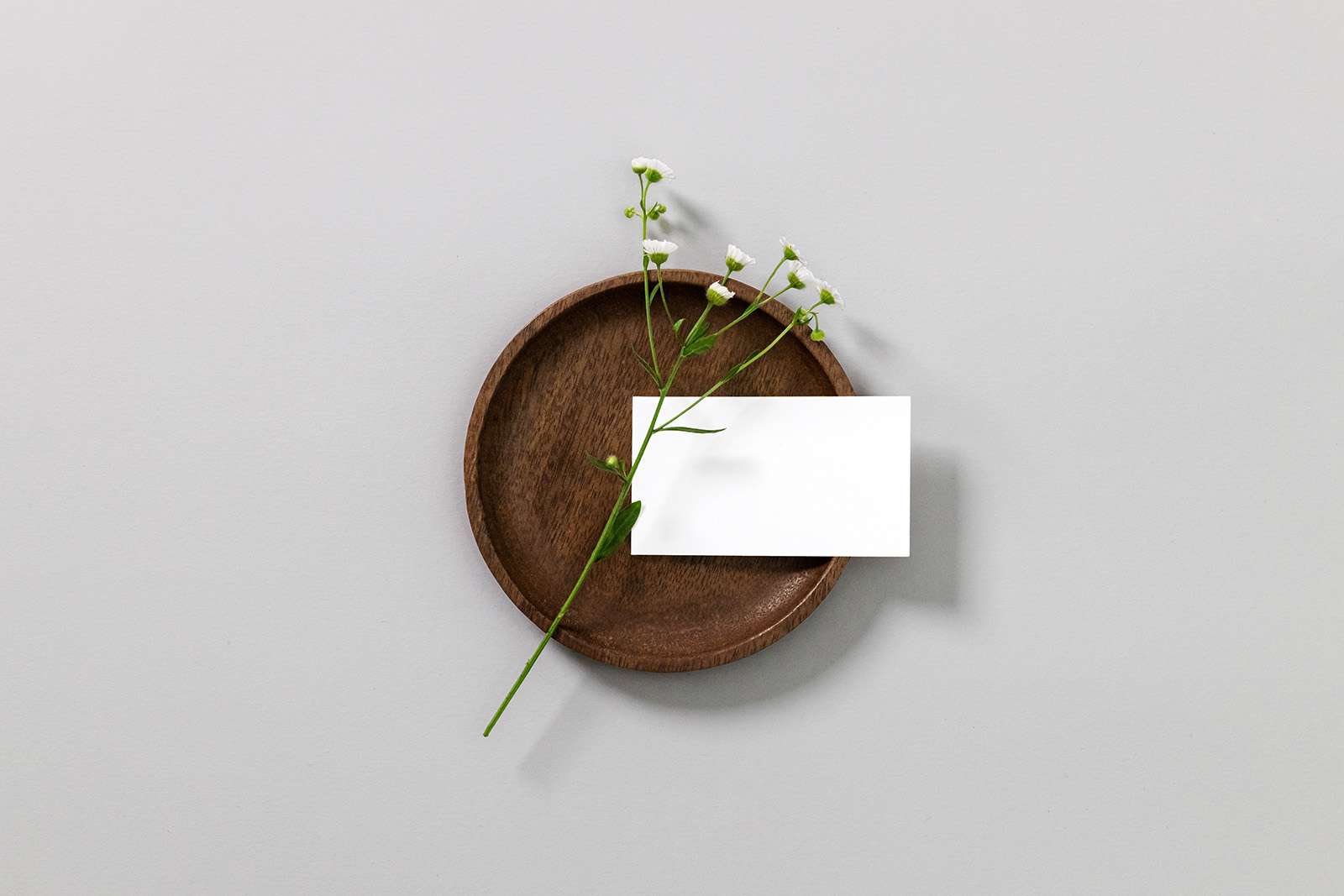 Free Business Card with a Flower Mockup PSD