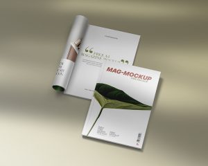 Free A4 Title / Inner Page Magazine Mockup PSD