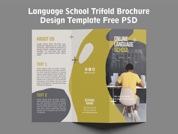 Free Language School Trifold Brochure Design PSD Template
