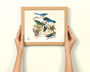 Free Photo Frame PSD Mockup