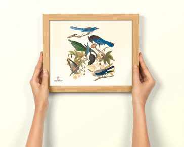 Free Photo Frame PSD Mockup