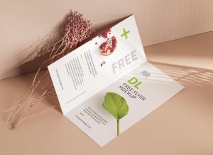 Free Bi-Fold DL Brochure Mockup PSD