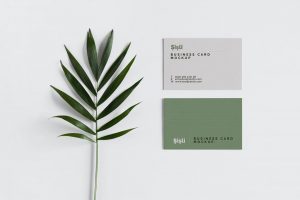 Free Minimalistic Business Card Mockup PSD