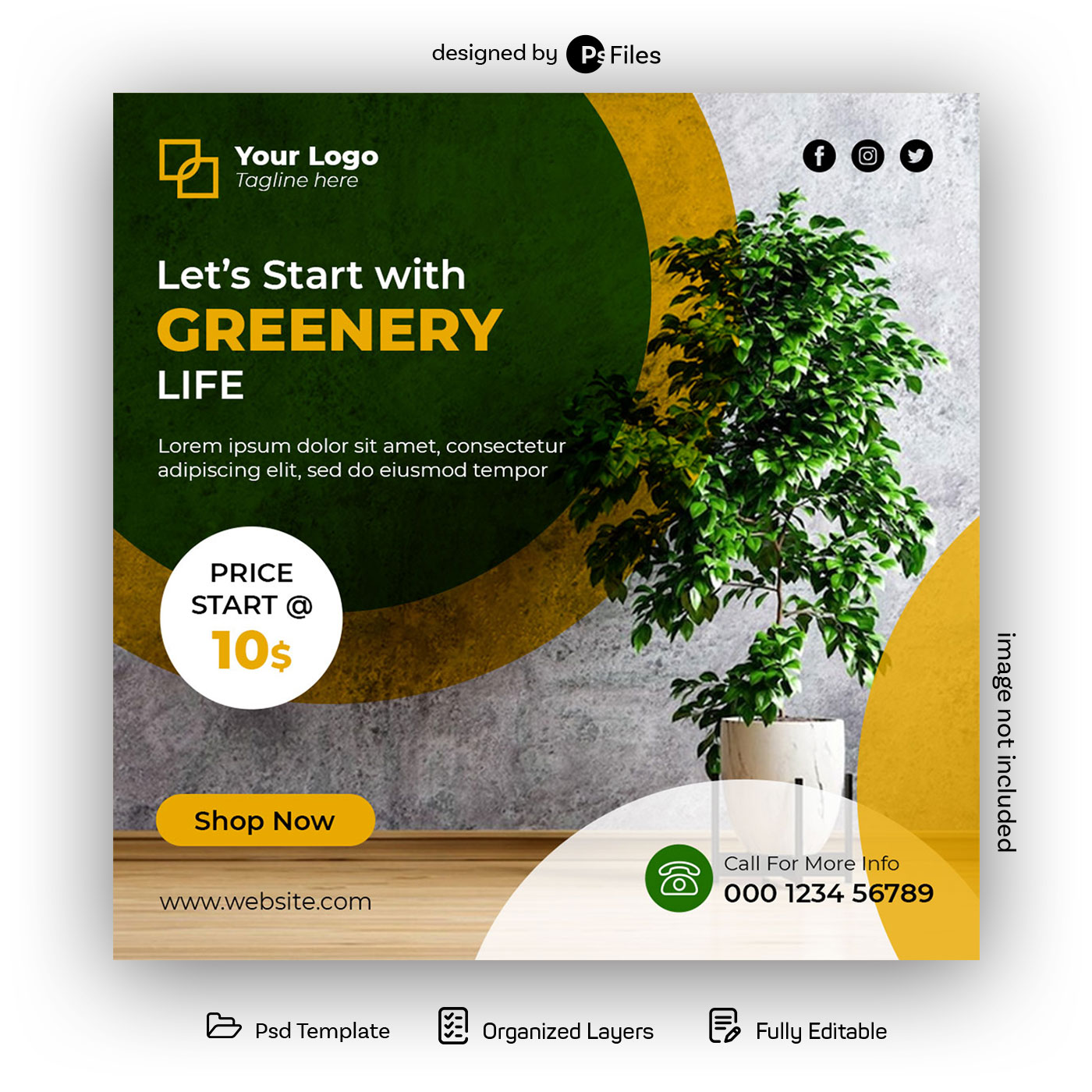 Free Social Media Post Design PSD Template for Indoor Plant Sales