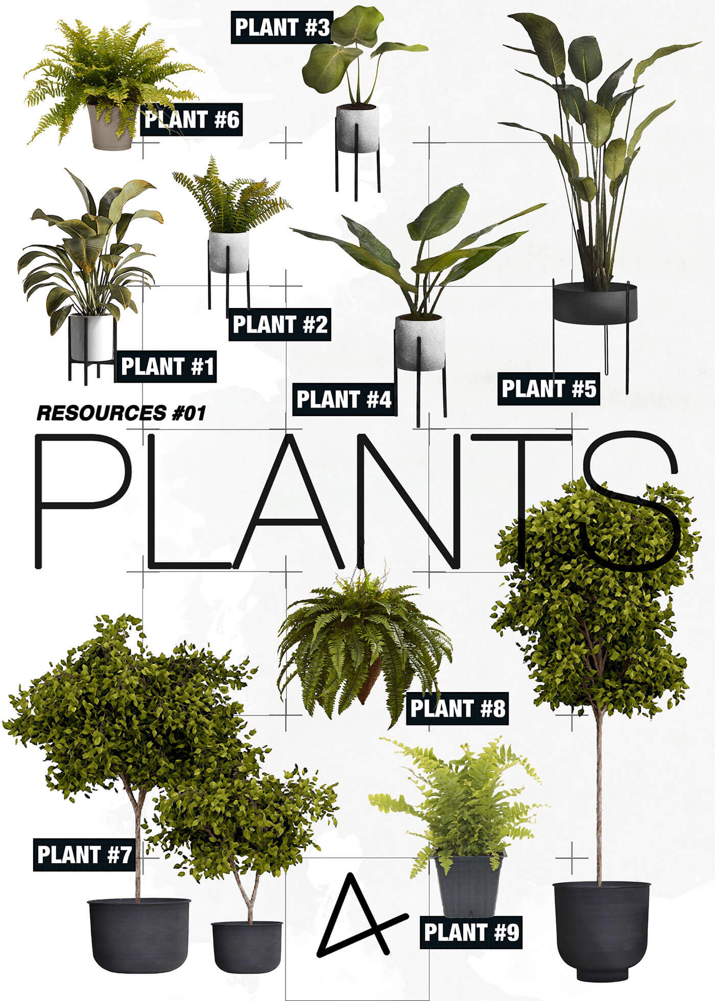 Indoor Plants PSD Design Resources Architects