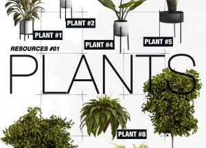 Indoor Plants PSD Design Resources for Architects
