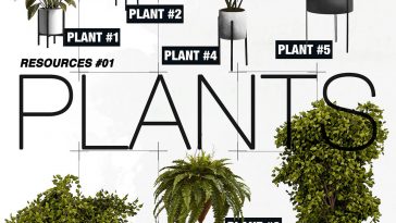 Indoor Plants PSD Design Resources for Architects