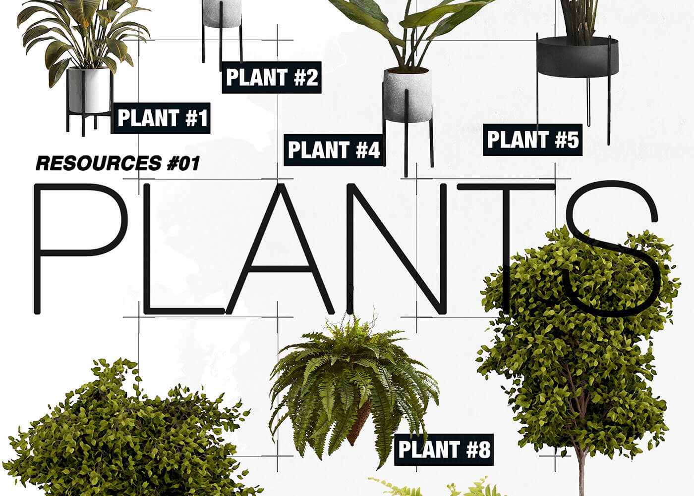 Download Free Indoor Plants PSD Design Resources for Architects