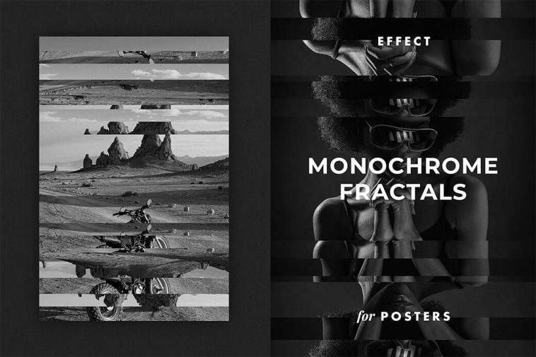 Monochrome Fractals Poster Effect