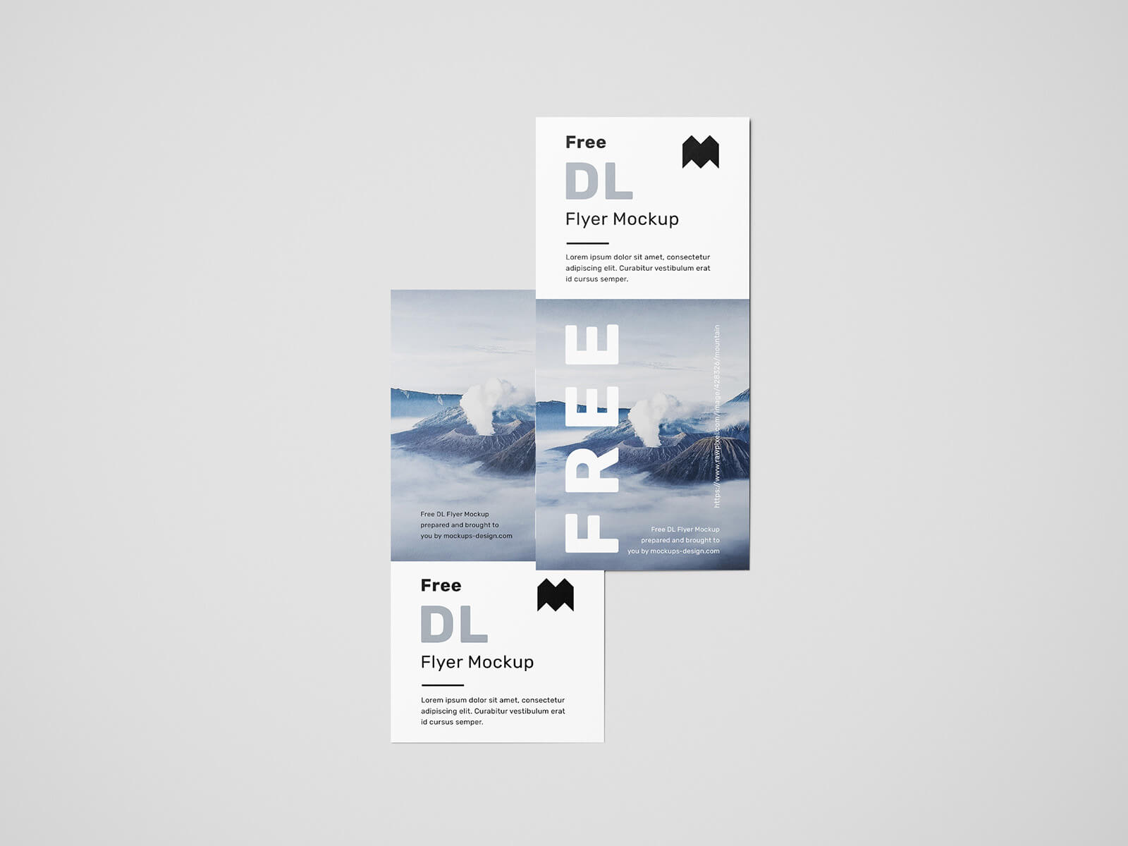 Free DL Flyer Mockup PSD Set (6 Renders)