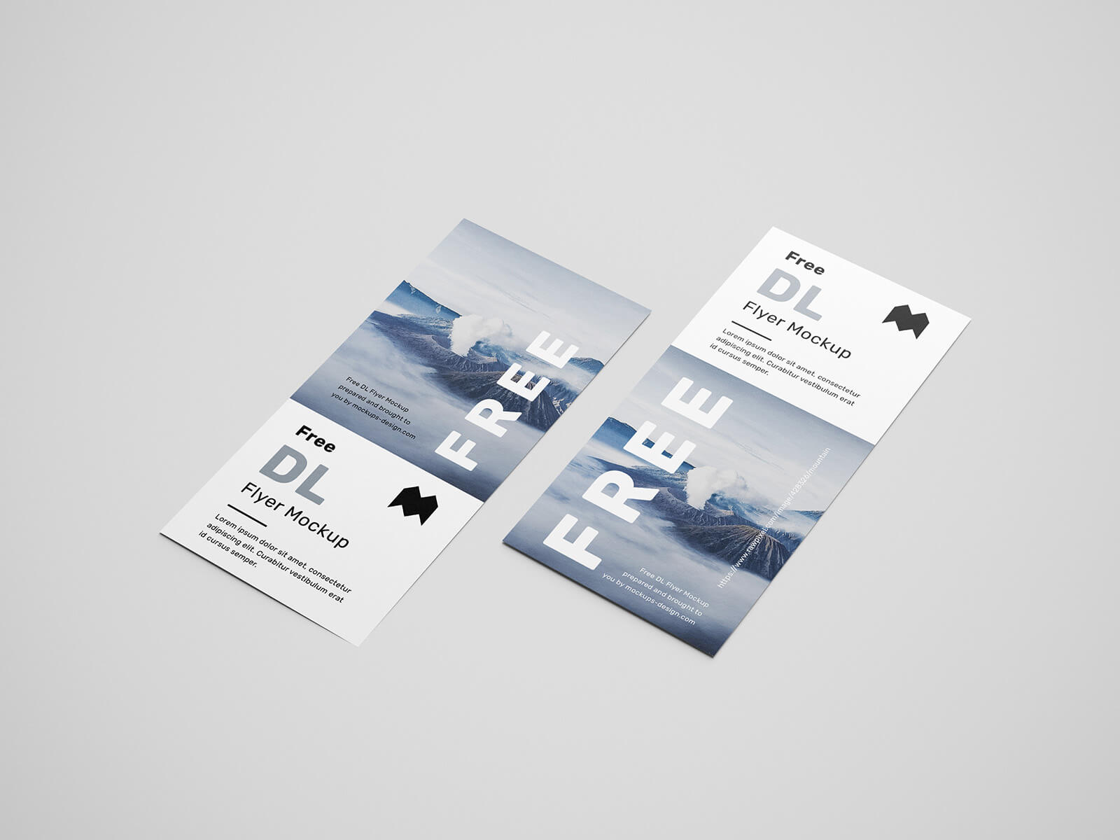 Free DL Flyer Mockup PSD Set (6 Renders)