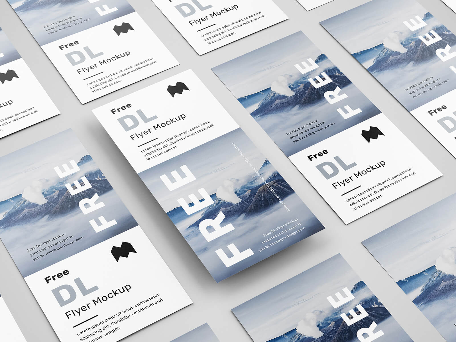 Free DL Flyer Mockup PSD Set (6 Renders)